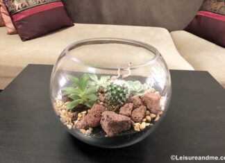 DIY terrarium kit from Masons Home Décor