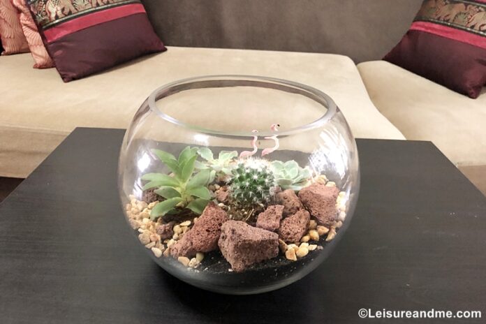 DIY terrarium kit from Masons Home Décor