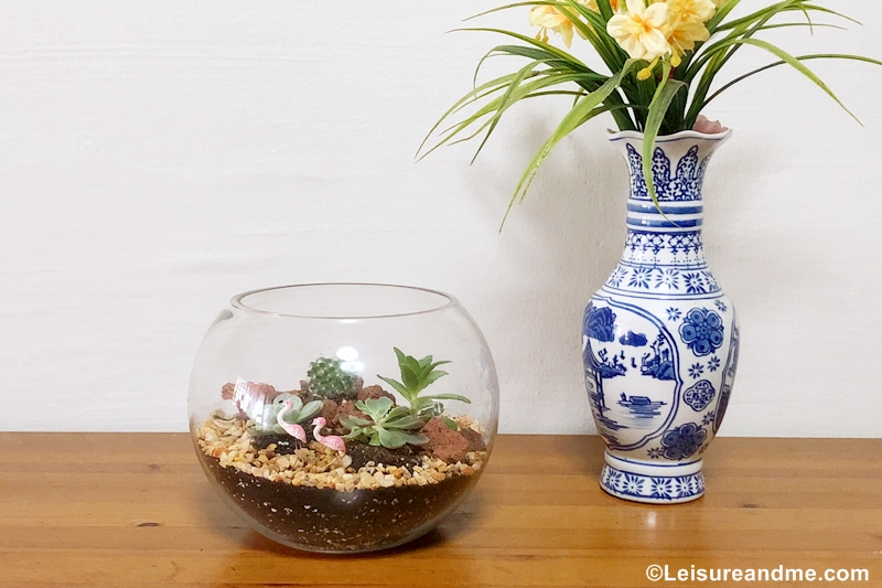 DIY terrarium kit from Masons Home Décor