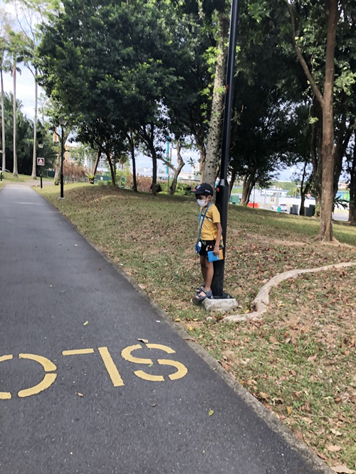 Ang Mo Kio town Garden west