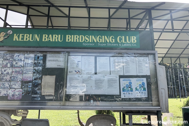 Kebun Baru BirdSinging Club