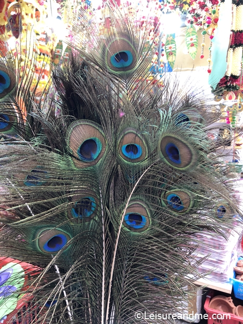 Peacock feathers