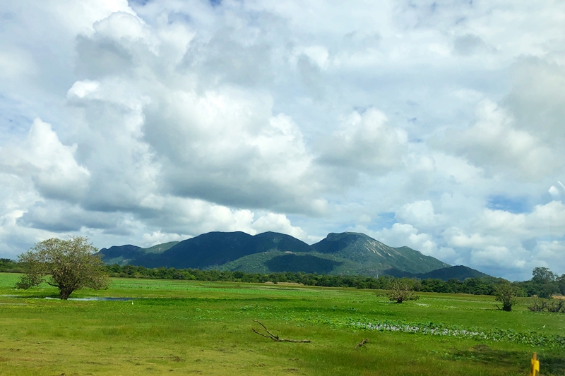 Sri Lanka