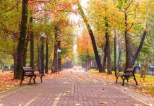 The Significance Of An Outdoor Park Bench