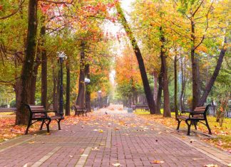 The Significance Of An Outdoor Park Bench