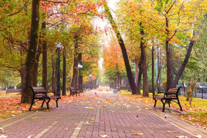 The Significance Of An Outdoor Park Bench