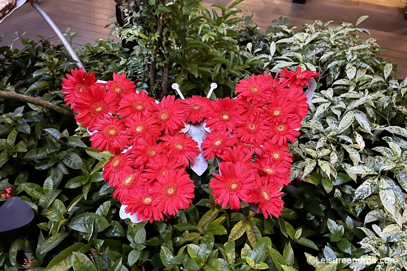 butterfly-garden-at-changi-airport