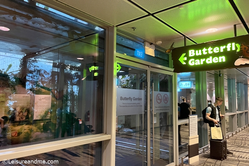 Changi Airport's Butterfly Garden