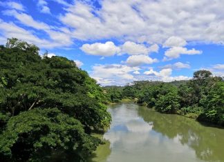 The Wonders of the Kinabatangan River in Borneo