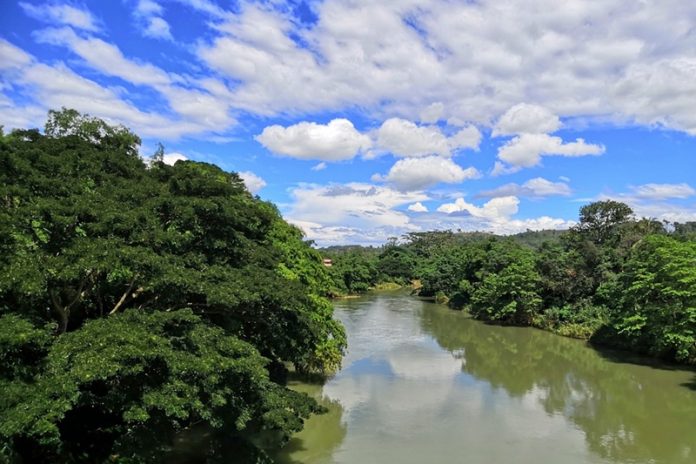 The Wonders of the Kinabatangan River in Borneo