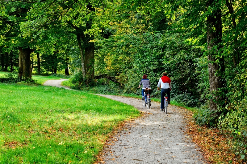 Why Renting a Bike is the Best