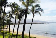 Renting a Car in Kihei