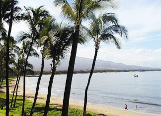 Renting a Car in Kihei