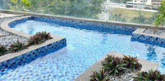 Professional Swimming Pool Construction