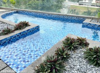 Professional Swimming Pool Construction