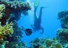 Snorkelling & Scuba diving in the Red Sea