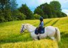 Why Your Horse Hates That Arena