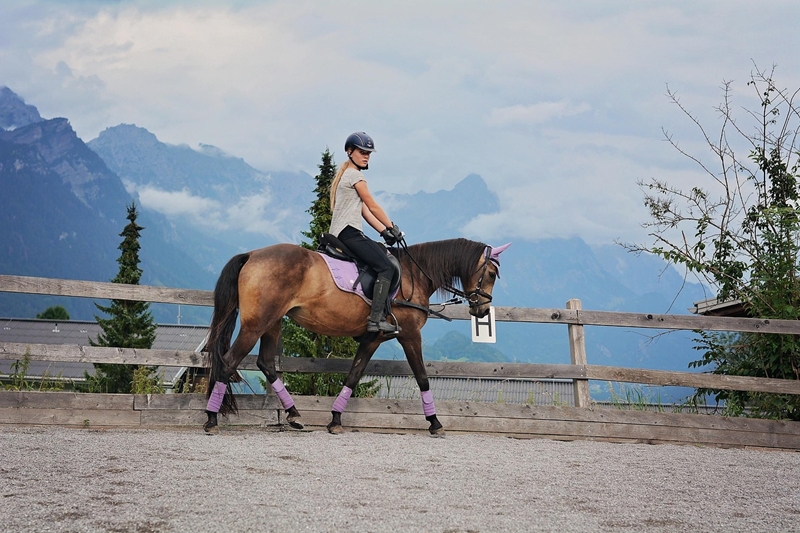 Why Your Horse Hates That Arena
